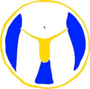 Логотип турнира Copa Tanga 2023